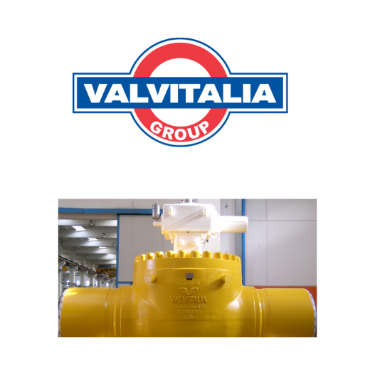 Valvitalia Valves and Spares
